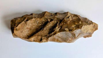 Neolithisch Vuursteen « pond boter » - 250 mm