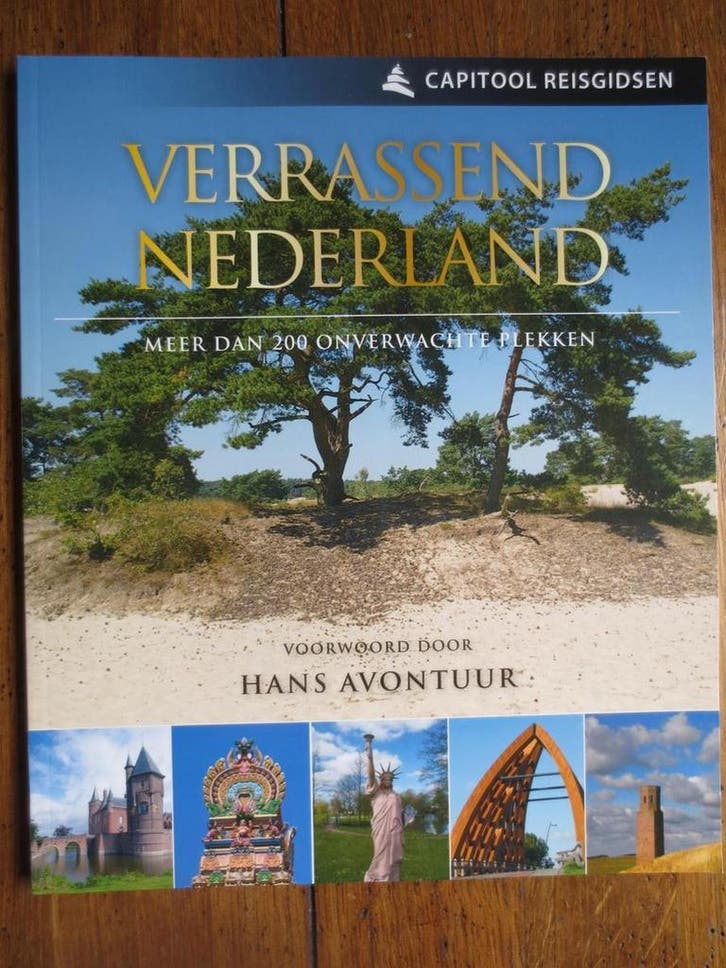 Verrassend Nederland 9789000356997 Hans Avontuur, Boeken, Literatuur, Zo goed als nieuw, Verzenden