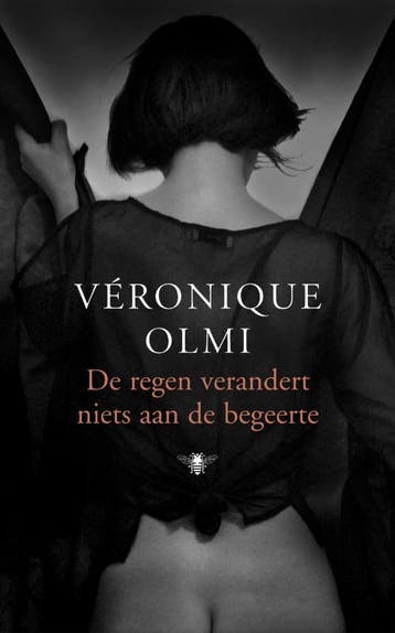 De regen verandert niets aan de begeerte 9789023420651, Verzenden, Gelezen, V. Olmi
