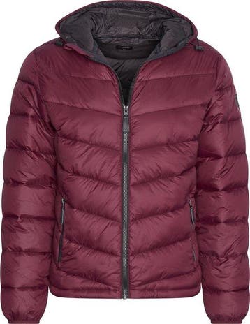 2dekans | Cappuccino Italia - Heren Jas winter Hooded Winter, Ophalen of Verzenden, Nieuw