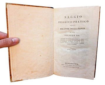 Re - Saggio Teorico-Pratico sulle Malattie delle Piante -