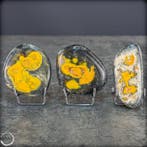 Natuurlijke Bumblebee Jaspis Palmstenen Set – intensief