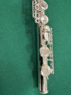 Jordan - FLj410 - - Fluit, Nieuw