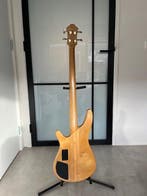 Ibanez - Musician fretless - - Guitare basse électrique -, Musique & Instruments