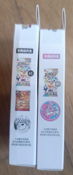 Pokémon - 2 Box - Pokémon TCG - Terastal Gathering
