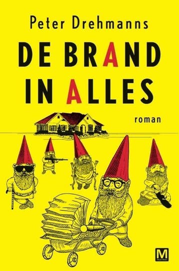 De brand in alles (9789460682148, Peter Drehmanns), Verzenden, Nieuw