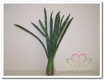 Exotic Stripe Bundel Groen Foamblaad, Nieuw
