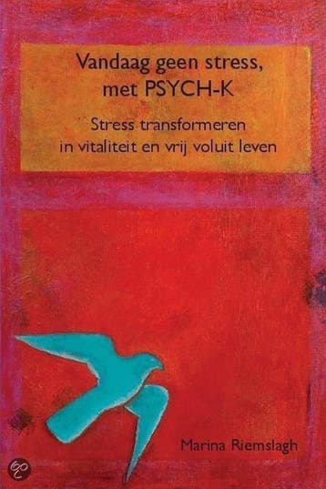Vandaag geen stress, met PSYCH-K® 9781616271084, Boeken, Verzenden, Gelezen, Marina Riemslagh