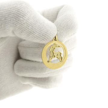Gouden sterrenbeeld hanger; Steenbok (Hanger of bedel), Ophalen of Verzenden, Gebruikt, Goud, Overige merken