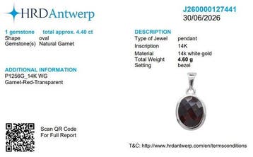 Pendentif - 14 carats Or blanc - 4.40ct. tw. Grenat - Bijoux
