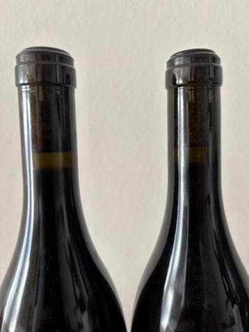 2023 Bastian Wolber Canopée - Bourgogne - 2 Flessen (0.75