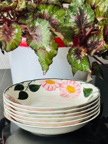 Villeroy & Boch - Plat (6) - wild-Rose - Porcelaine