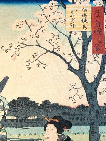 Cherry Blossoms on the Mukojima Embankment and Sakura Mochi
