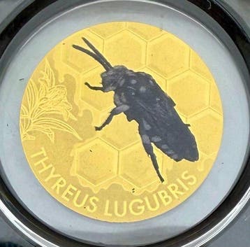 Tsjaad. 3000 Francs Thyreus Lugubris & Euglossini , oro , 2, Postzegels en Munten