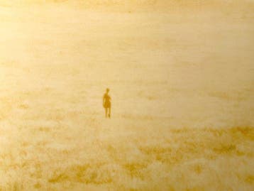 Stefanie Schneider - Untitled (Oilfields)