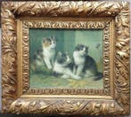 Hollandse School (XX), Naar - Drie kittens en een vlinder, Antiek en Kunst