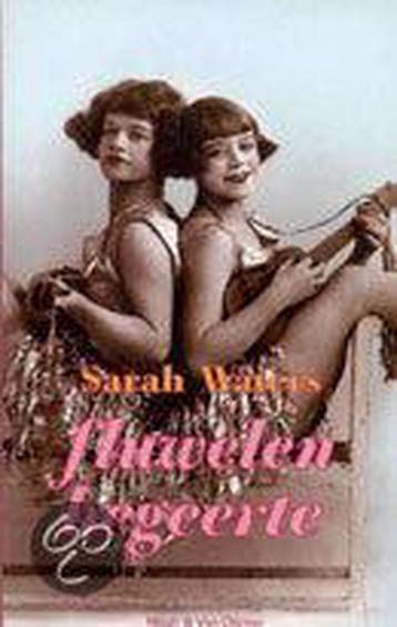 Fluwelen begeerte 9789038884172 Sarah Waters, Verzenden, Gelezen, Sarah Waters