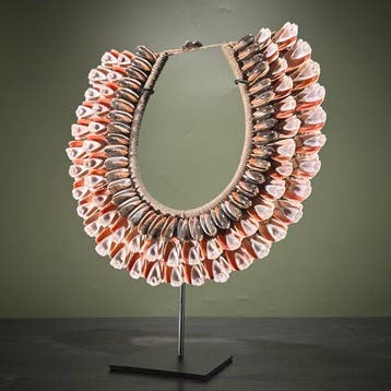 Ornement décoratif - NO RESERVE PRICE - SN14 - Shell, Collections, Collections Animaux