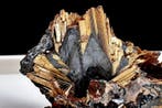 Van topkwaliteit gouden rutiel op hematiet. uit Brazilië -