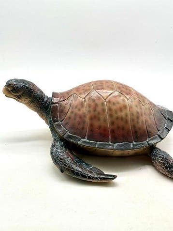 No reserve-Levensecht gelijkend beeld van een waterschildpad