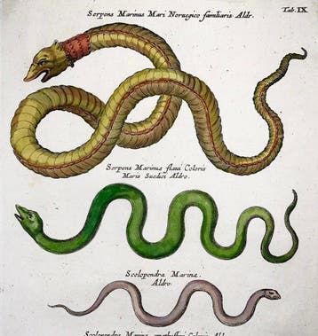 Matthäus Merian (b1593) - hand col. folio: Sea Serpents -, Antiek en Kunst
