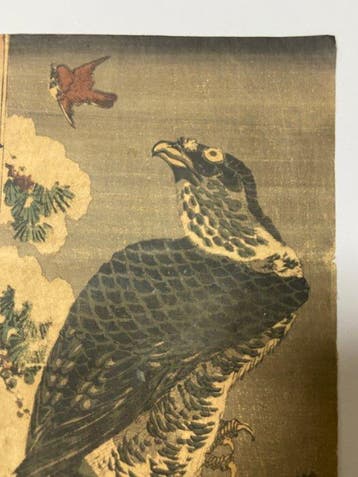 Matsu to Taka, Ayame no Zu - Keisai Eisen  (1790-1848) -