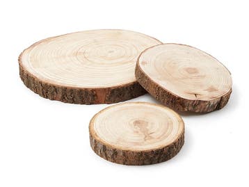 Boomstamschijf Pauwlonia ca. 13 cm per stuk, Nieuw