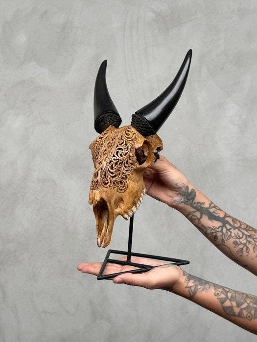 SANS RÉSERVE - Crâne de chèvre brun authentique sculpté sur, Antiquités & Art, Art | Objets design