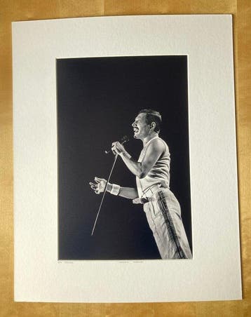 Jan Werner - Freddy Mercury (1946-199199) in concert