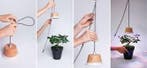 linealight - linealight group - Lamp - chlorofyl -