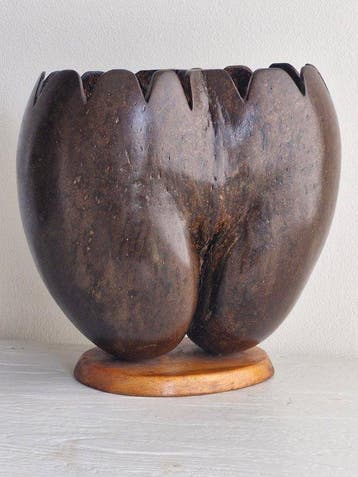 sculptuur, Early 20th Century Coco de Mer - CITES Appendix