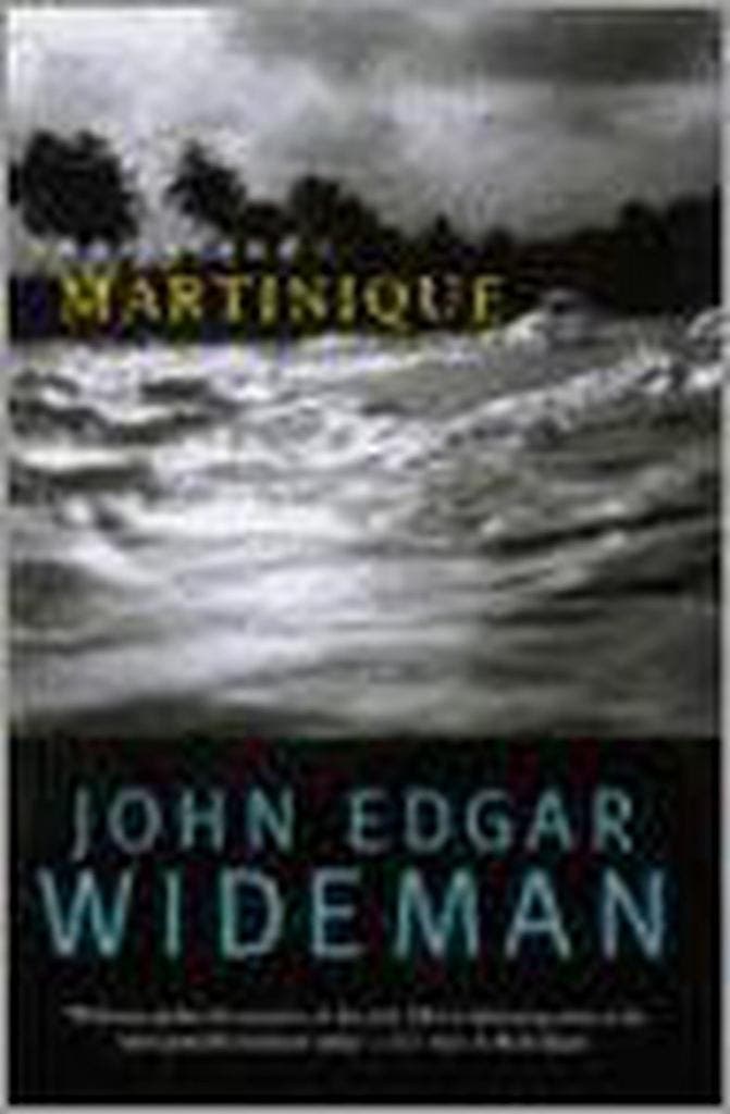 WIDEMAN JOHN E., THE ISLAND 9780792265337 John Edgar Wideman, Boeken, Taal | Engels, Gelezen, Verzenden