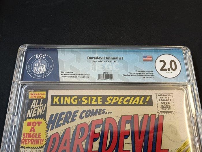 Daredevil (Vol. 1) Annual #1 - EGC 2.0 - Electro and the, Boeken, Strips | Comics