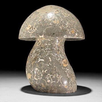 Sculpture sculptée à la main de champignons Turritella -