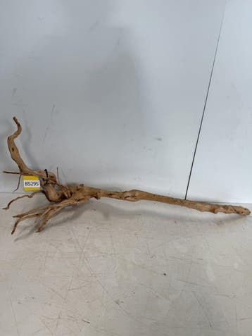 Boutique Stump Selected BS295 - 93x33x30cm (Natuurlijk hout), Ophalen of Verzenden, Nieuw, Plant(en), Steen of Hout