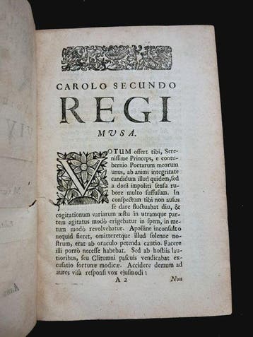 Mauritio Neoporto Anglo - Regi votum candidum Vivat Rex -