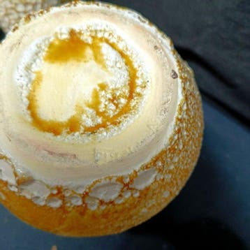 Vallauris - Service à boisson (8) - Céramique - ensemble