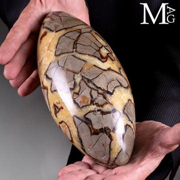Indrukwekkende septariaanse Dragon Stone Shiva Lingam -, Verzamelen