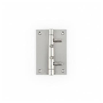 Bieden: Marine Stainless Steel Hinge with, Ophalen of Verzenden