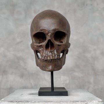 Sans prix de réserve - Réplique de crâne humain sur socle, Antiquités & Art, Curiosités & Brocante