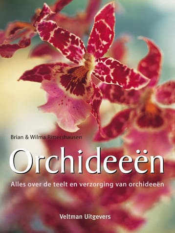 Orchideeën 9789059208612 B. Rittershausen, Verzenden, Gelezen, B. Rittershausen