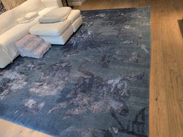 ODEGARD - Tapis - 300 cm - 400 cm
