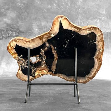 C-Stunning Grote plak versteend hout op een op maat gemaakte