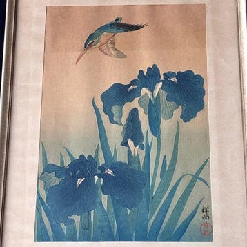 Farbholzschnitt - Eisvogel und Iris (Kawasemi ni ayame /