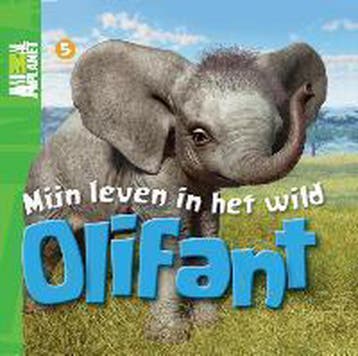 Mijn leven in het wild / 05 Olifant / Animal Planet boeken, Verzenden, Gelezen, Meredith Costain