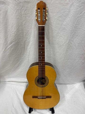 Giannini - GWNE 17 - Solid Top (Serie Estudo) - - Guitare