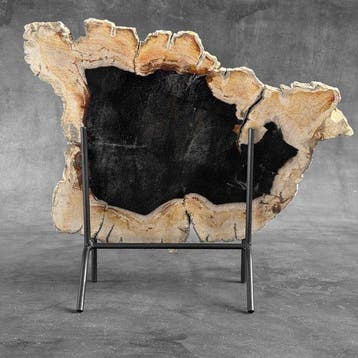 Magnifique tranche de bois pétrifié sur un socle