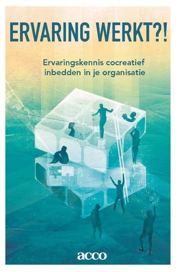 Ervaring werkt?! 9789463798266 Didier Reynaert, Verzenden, Didier Reynaert
