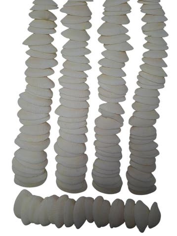 Dinh Ba Cockels Schelpen 3,5-4,5 cm 450 gram, Nieuw