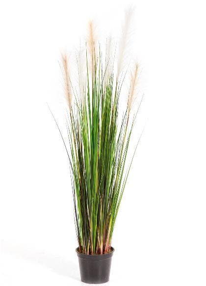 Kunstplant Pijlriet 120 cm, Maison & Meubles, Plantes d'intérieur, Envoi
